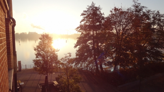 Morgennebel über dem Spandauer See