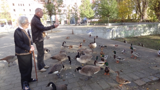 Wir gehen Entenfüttern