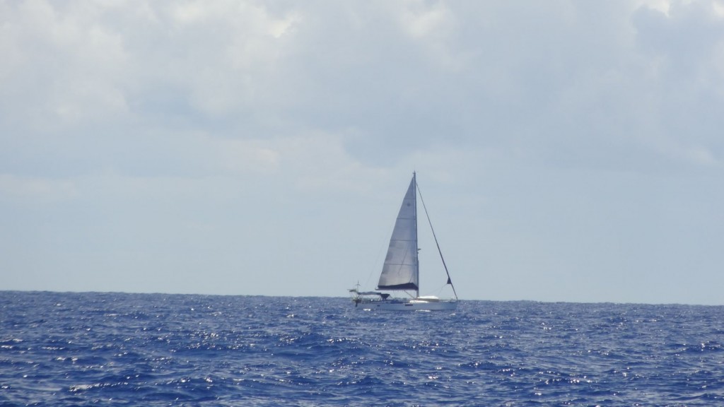Mitten auf dem Ozean ein Segelboot. MIt dem Skipper habe ich mich etwas über Funk unterhalten.
