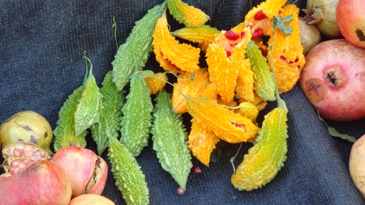 Unbekannte Früchte.